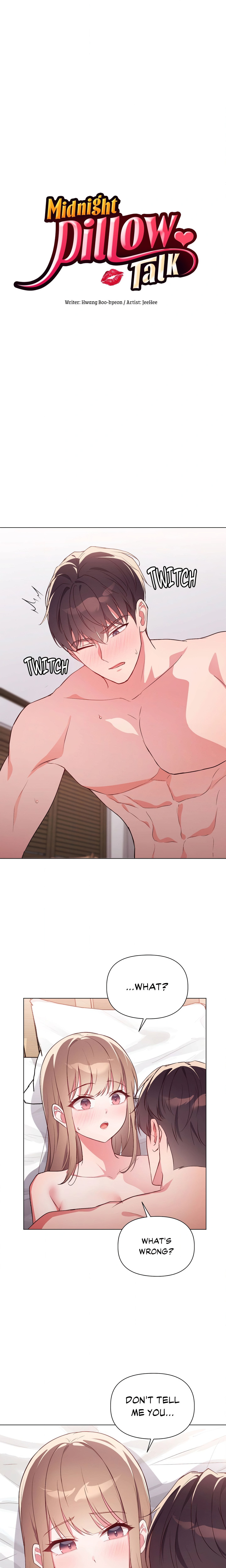Midnight Pillow Talk page 1